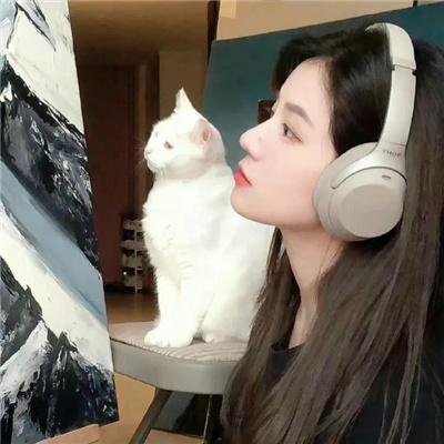 破镜奇案